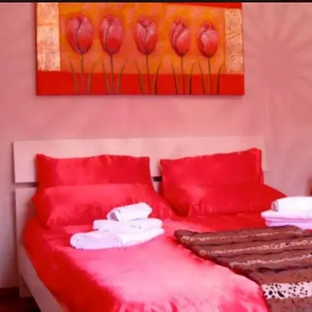 Modern House Lejlighed *